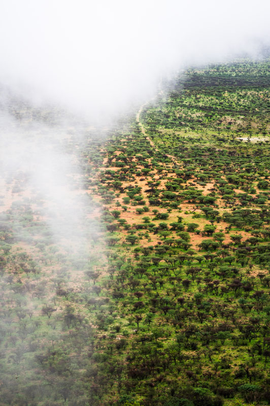 mtkatrien_landscape_9_©Balint_Nemeth