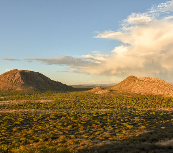 mountain5_©Balint_Nemeth
